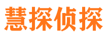 成武市调查公司